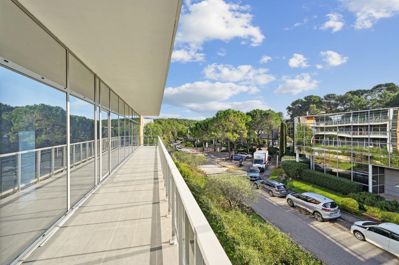 Bureau Sophia Antipolis 997m² Location bureau Sophia Antipolis Alpes-Maritimes OLBUR2308125 12